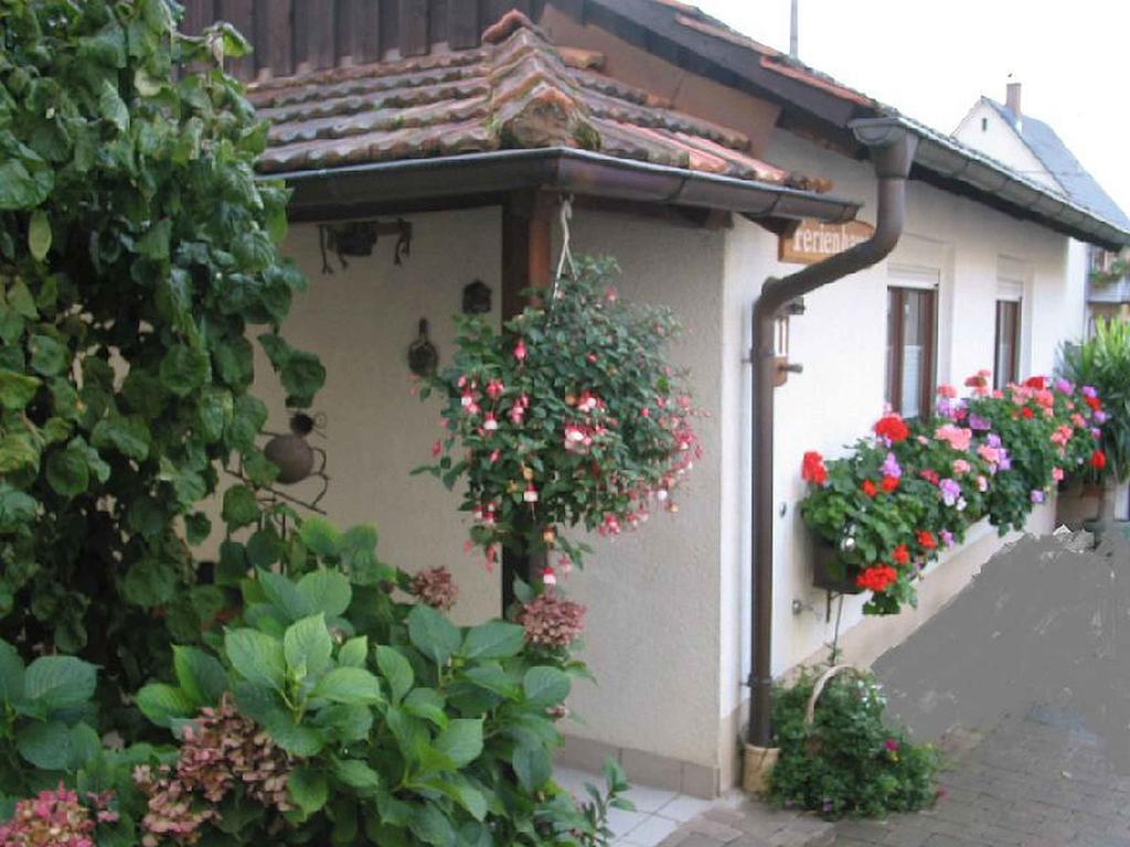 Ferienwohnung Am Blumengaessle 뮐하임 외부 사진